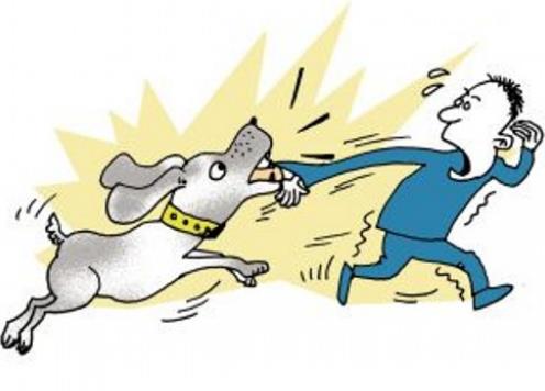 周公解梦梦见狗死了的含义