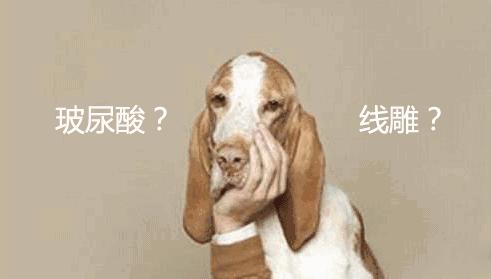 莫非的意思莫非是什么的意思