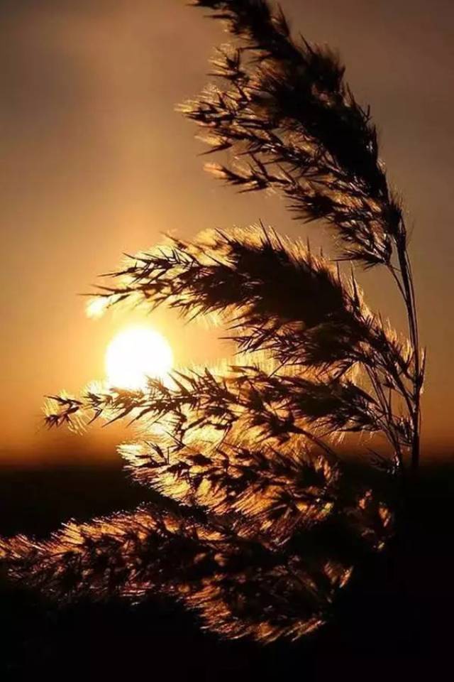 等风来在爱情中有什么含义