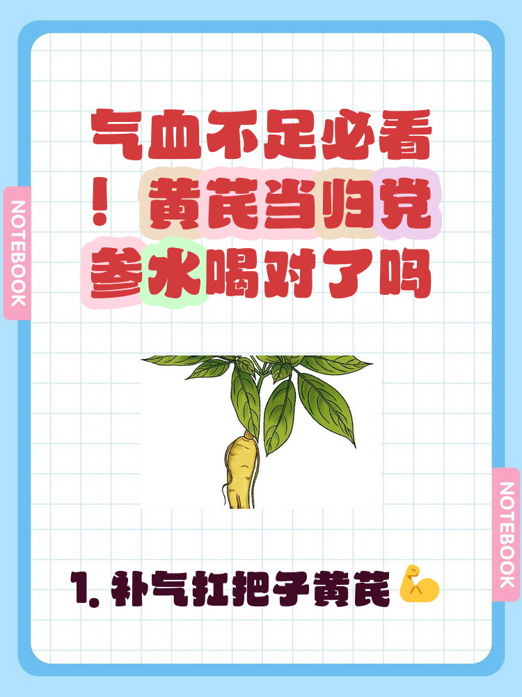 党参黄芪当归有什么功效与作用