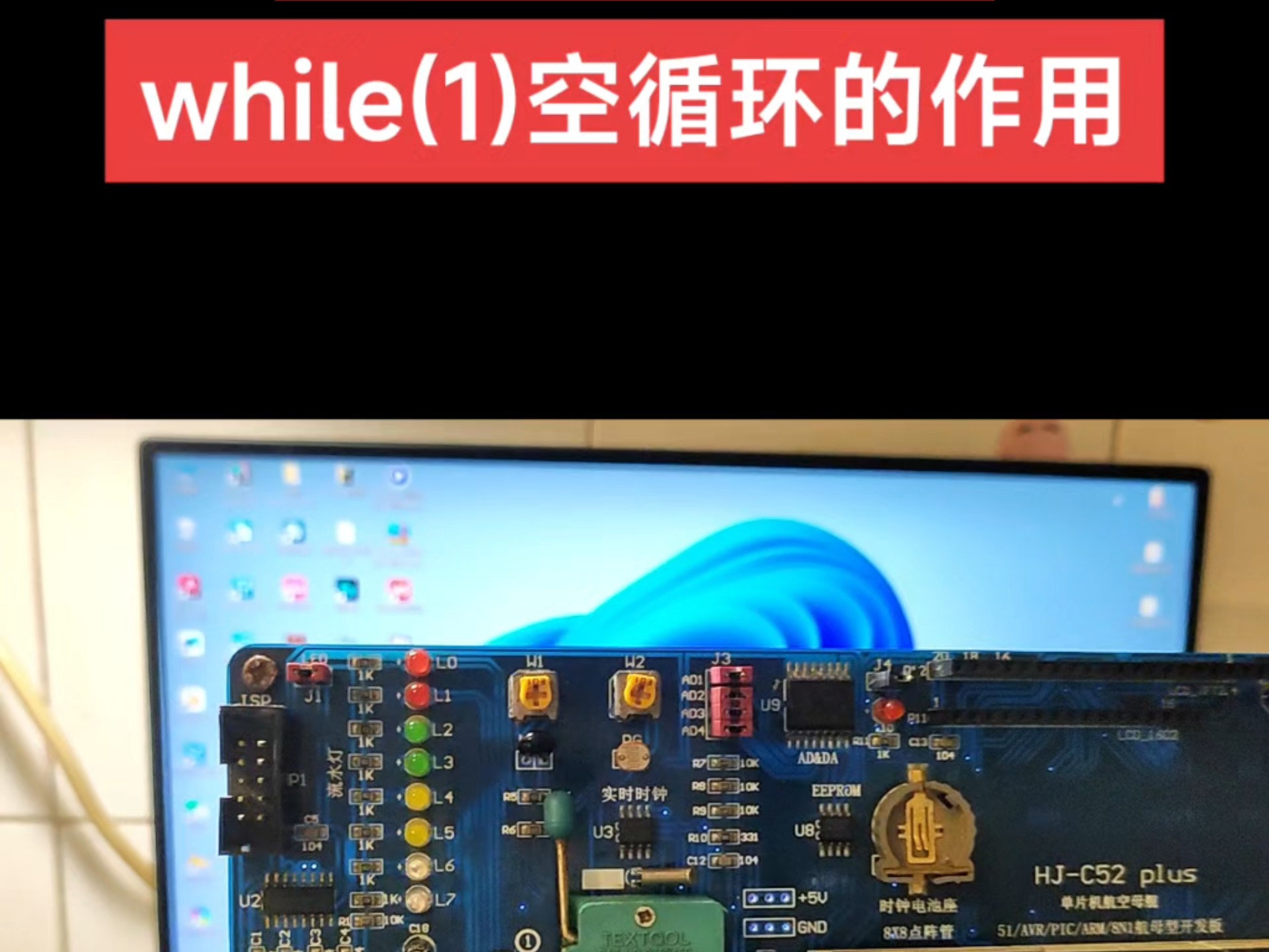 c语言while用法是什么