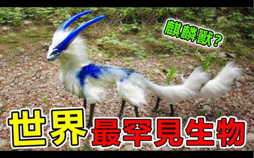 地球上的十大神秘生物是什么