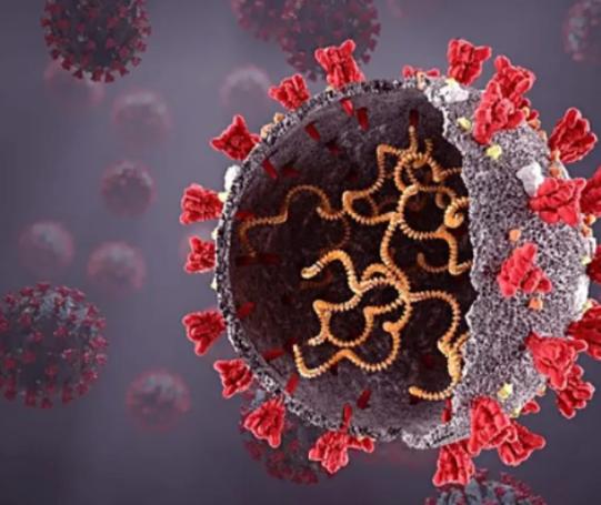 非典是哪一年发生的什么年