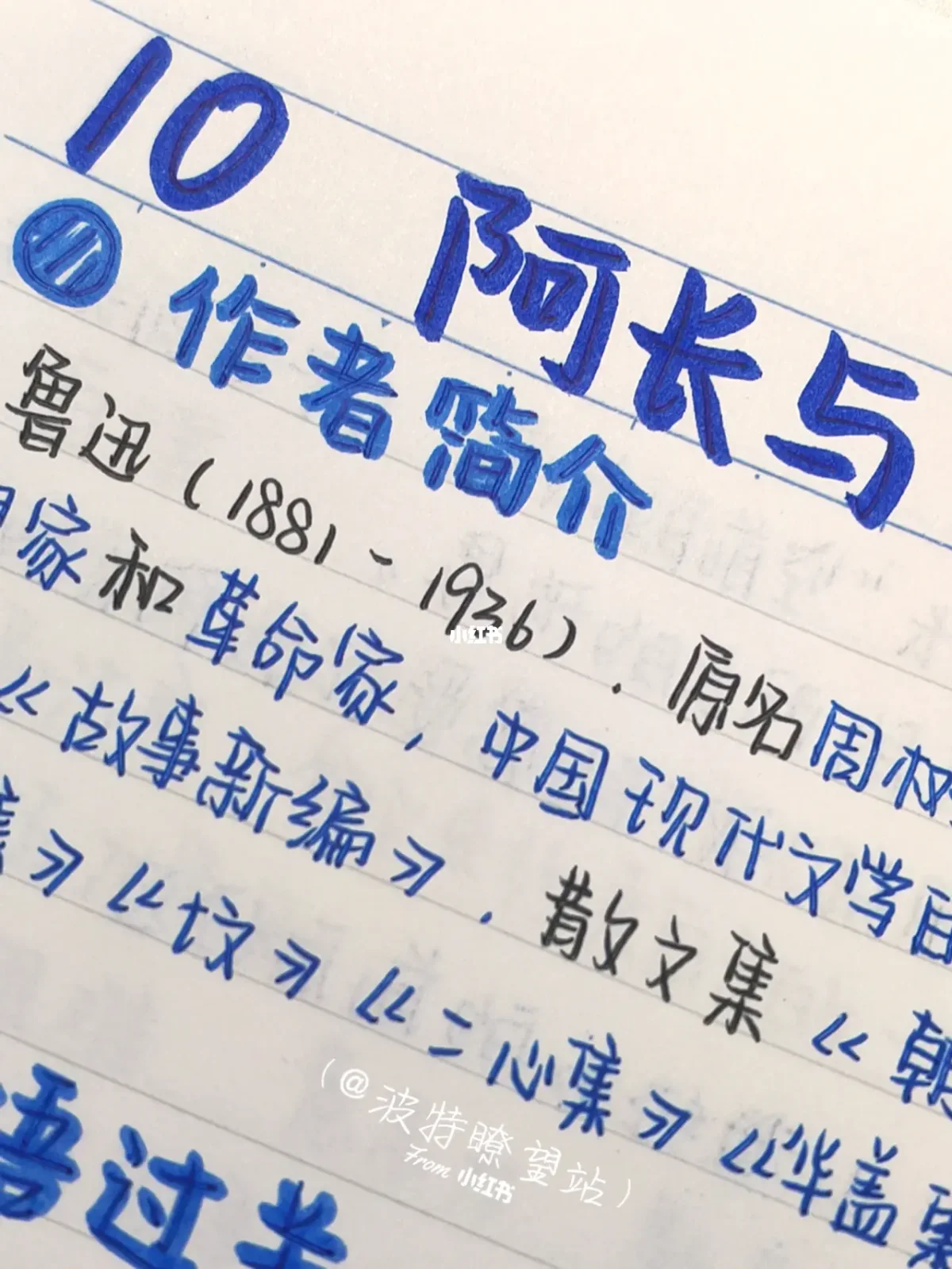 阿长与山海经概括50字