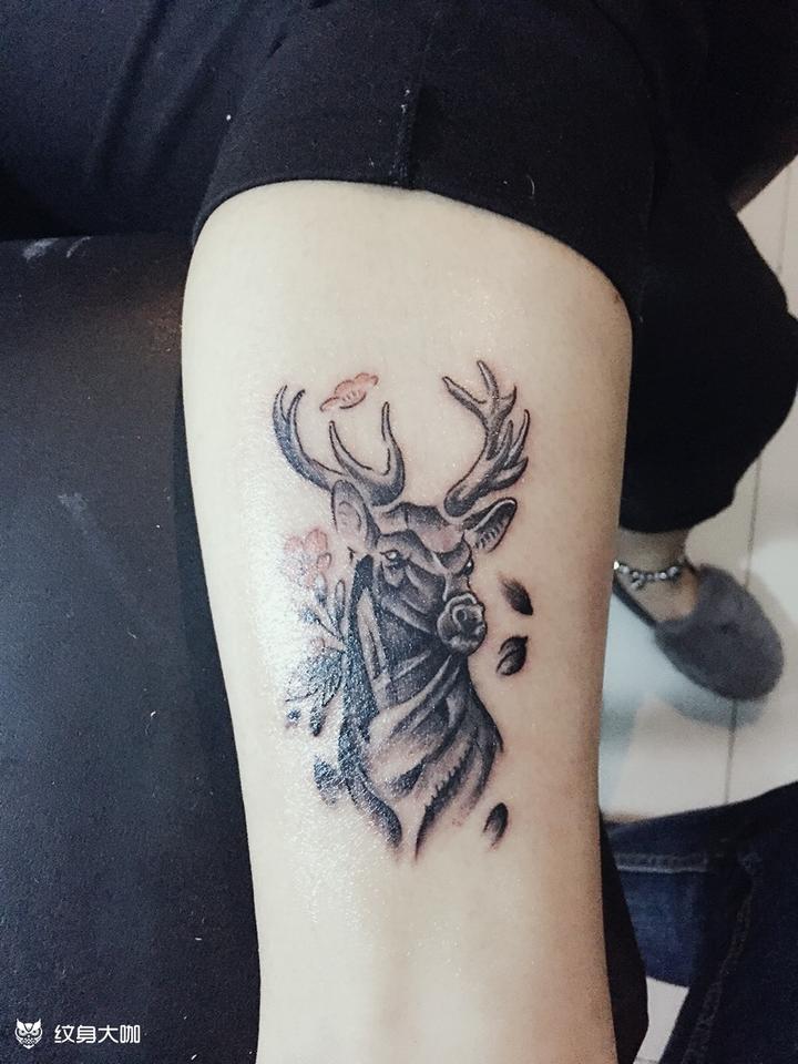 鹿纹身纹什么最旺财运呢