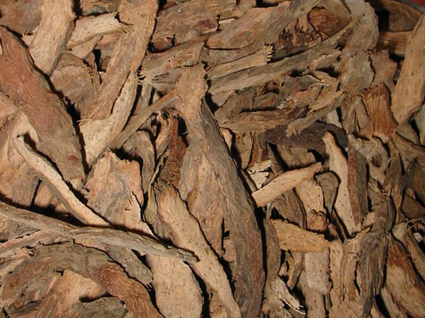 千年健的营养价值有哪些