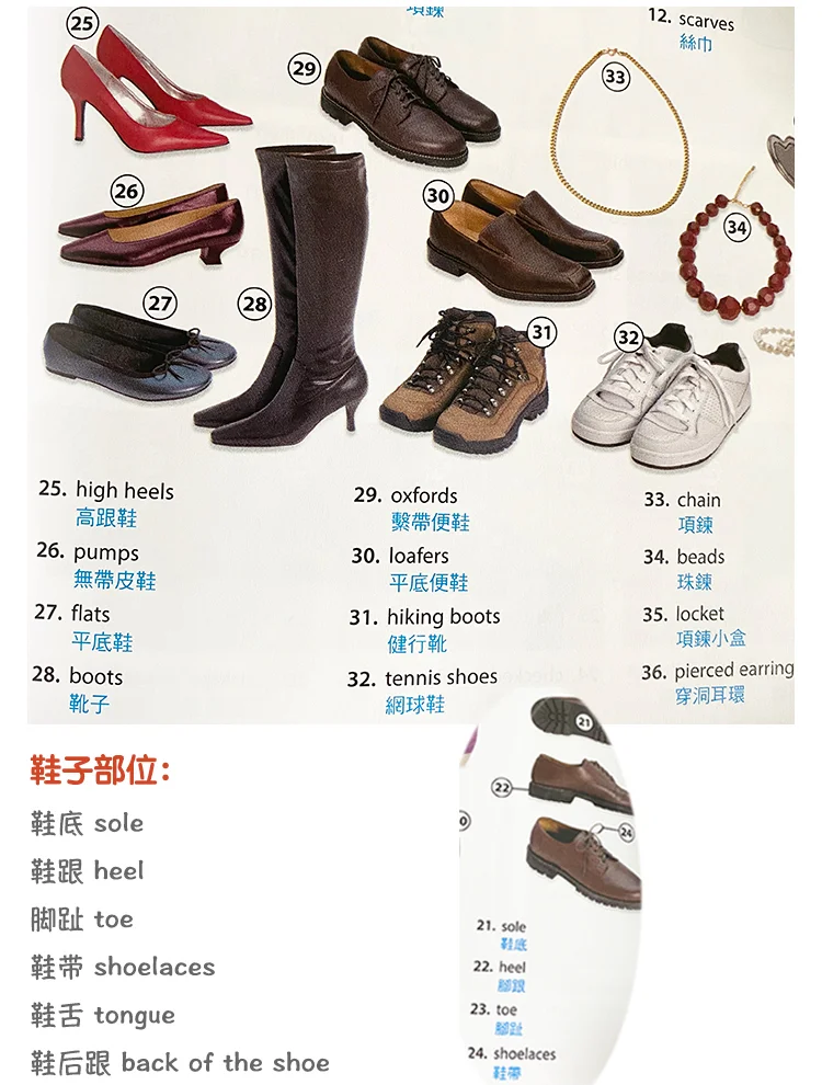 腿,用英语单词怎么说?