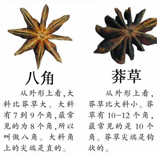 分辨八角和莽草的方法介绍