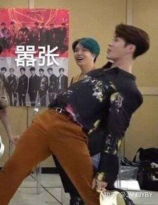 IDOL是什么意思网络用语