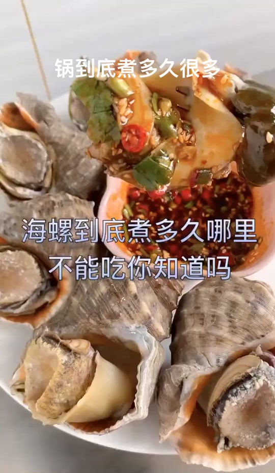 水煮海螺需要煮多久才可以煮熟