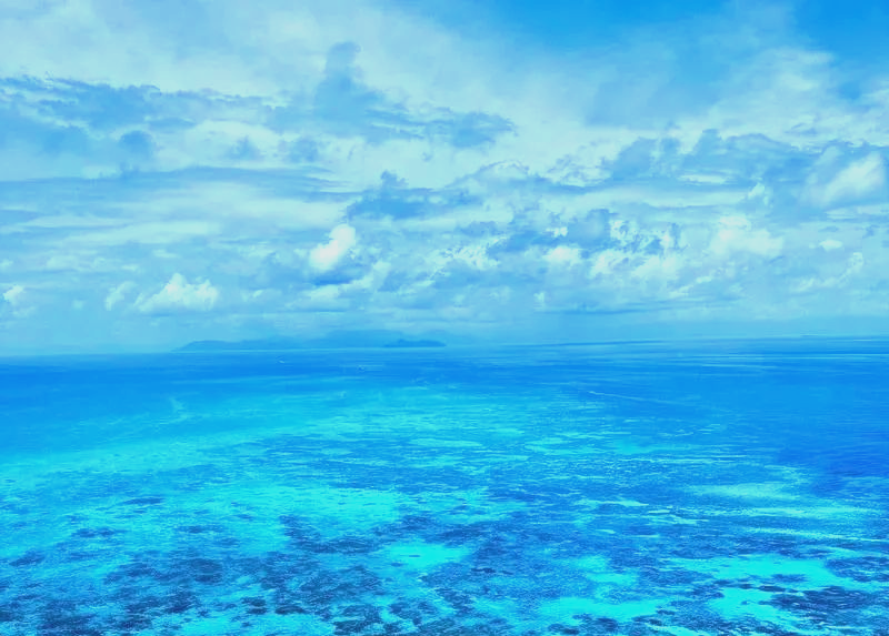 世界上最大的海是什么海