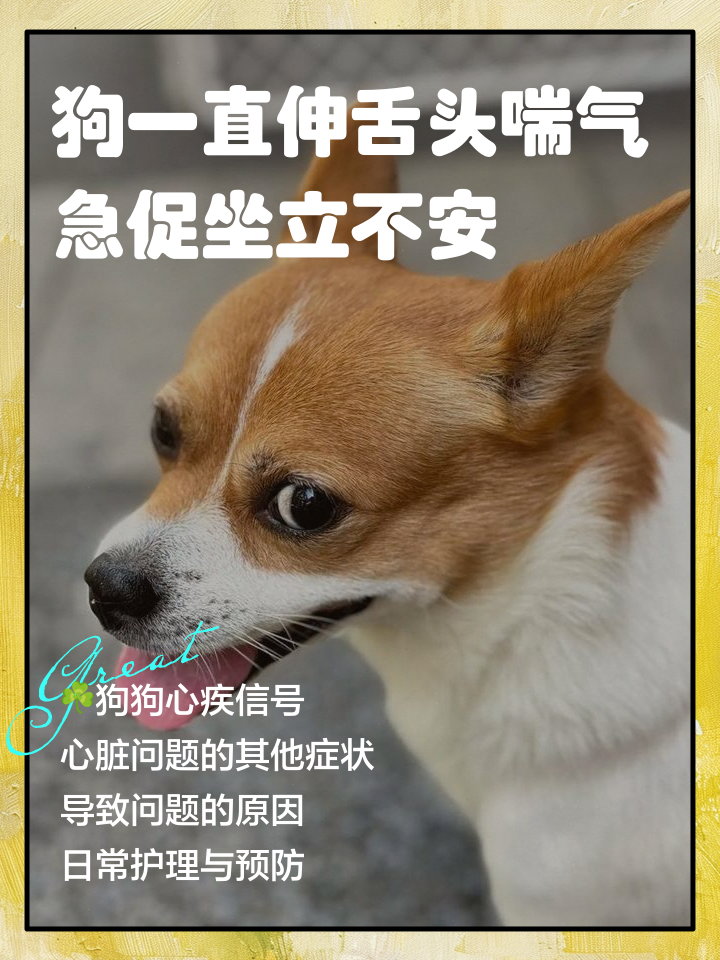 欲钱买坐立不安的动物猜一生肖