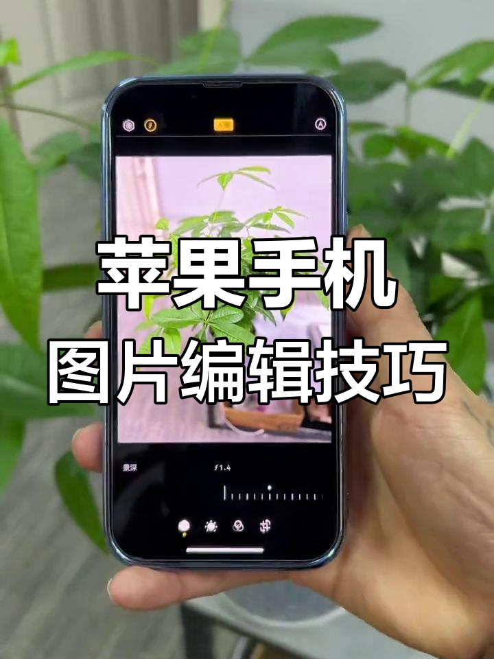 手机怎么把照片背景虚化