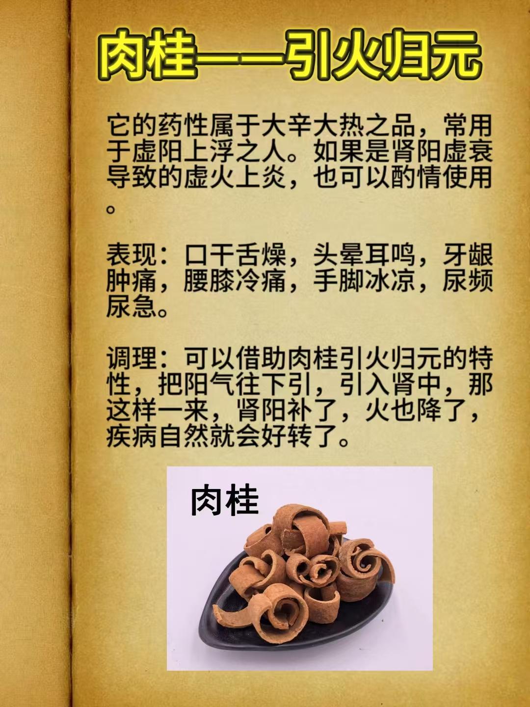肉桂与桂皮的区别是什么？