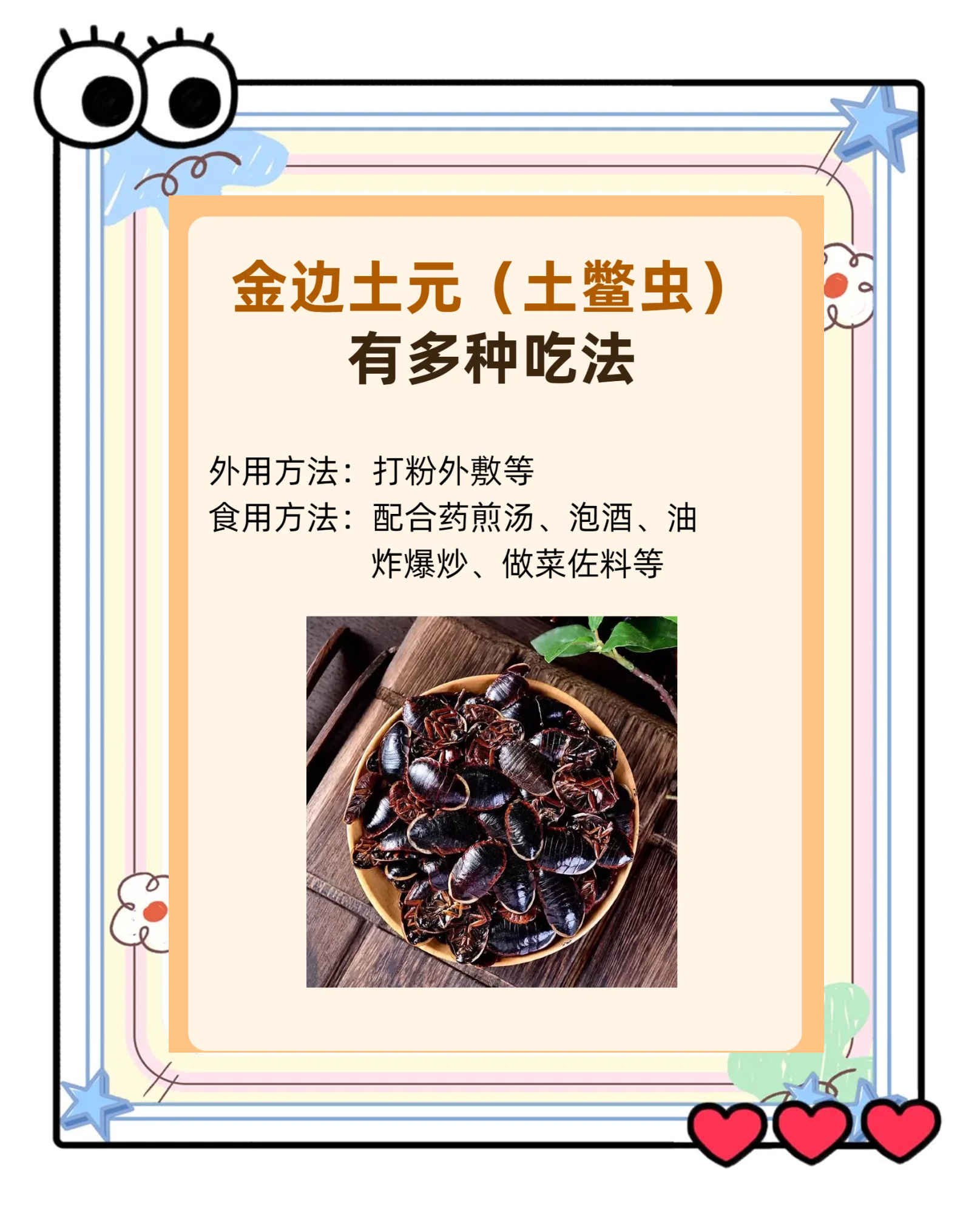 吃土鳖虫有什么危害土鳖虫怎么吃效果最好