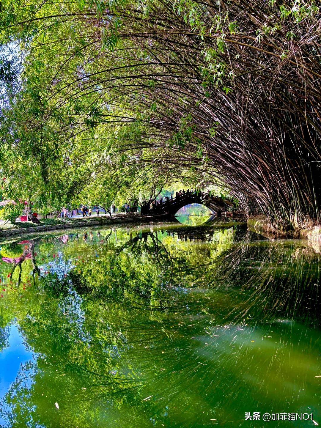 成都免费好玩的地方有哪些