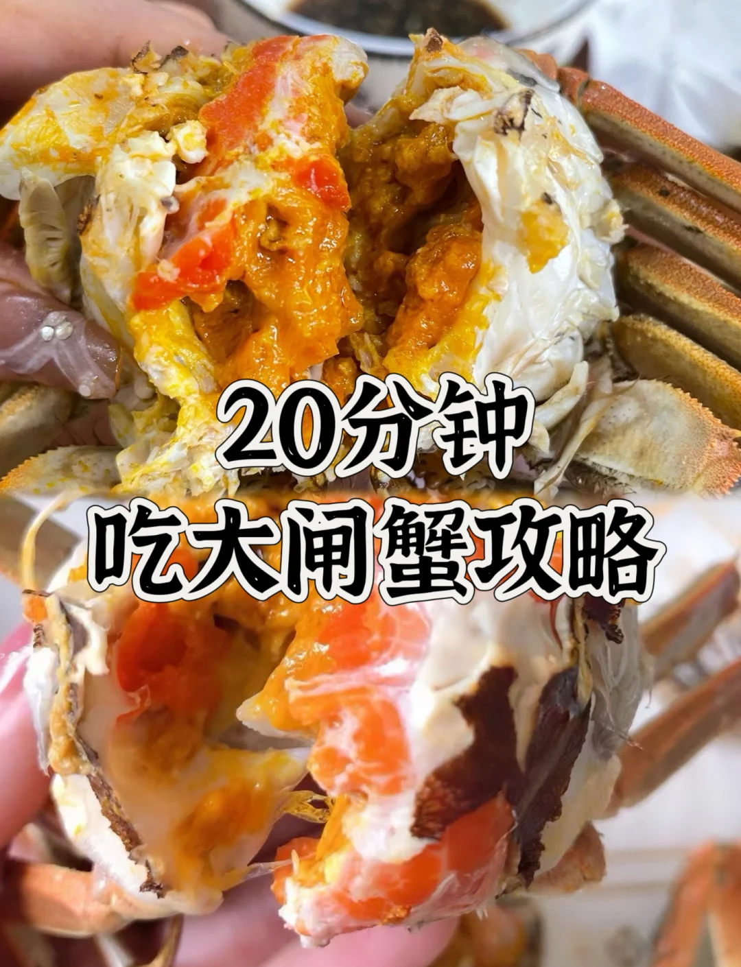 新鲜大闸蟹要煮多久才能吃