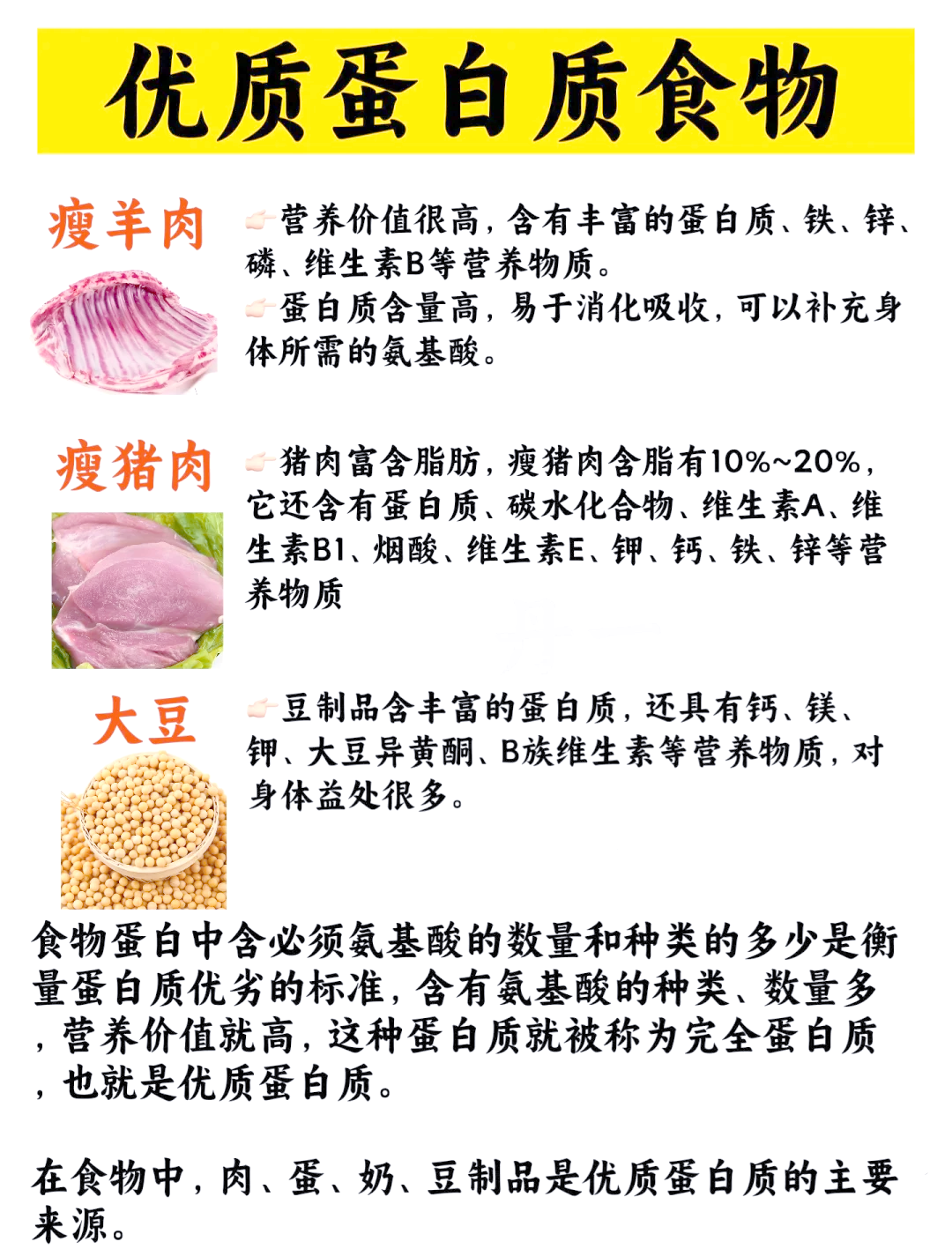 蛋白质含量高的食物蛋白质的食物有哪些