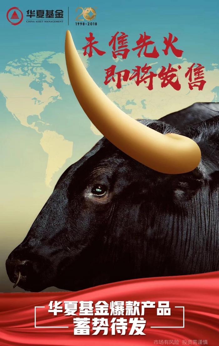 那些年,我们一起追的独角兽基金