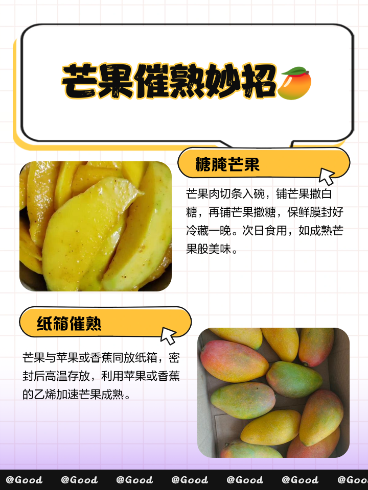 芒果怎么才能保存长久不坏