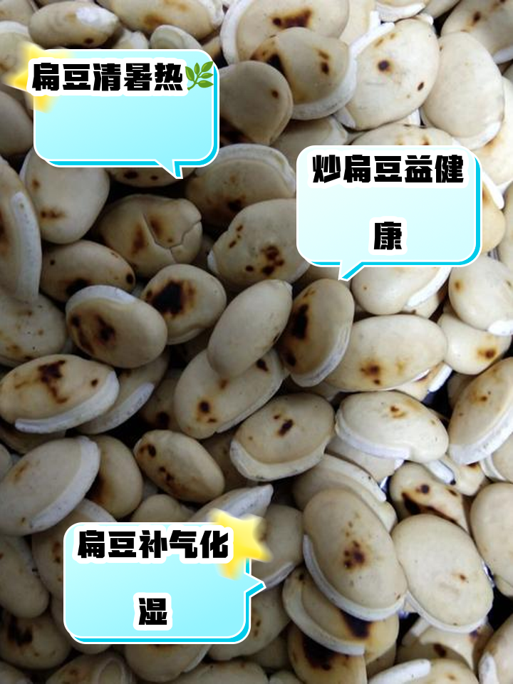 炒白扁豆的功效与作用有哪些