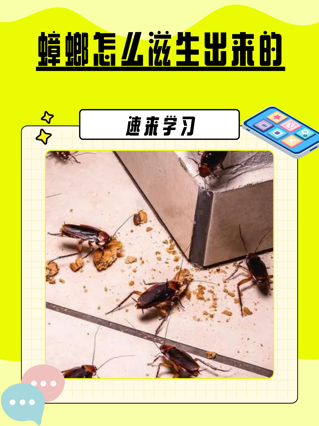 蟑螂会飞怎么回事蟑螂为什么会飞