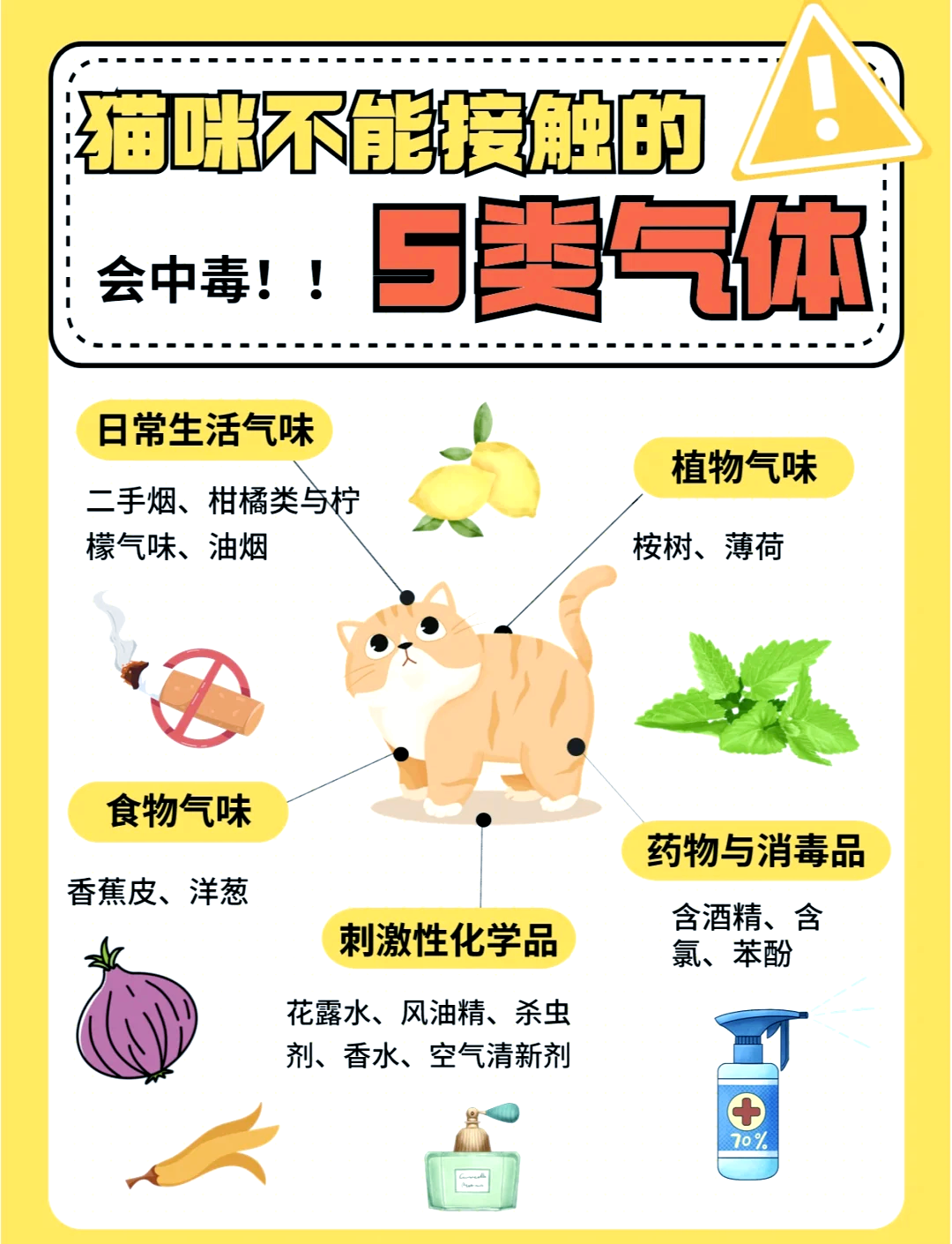 臭虫怕风油精的气味吗