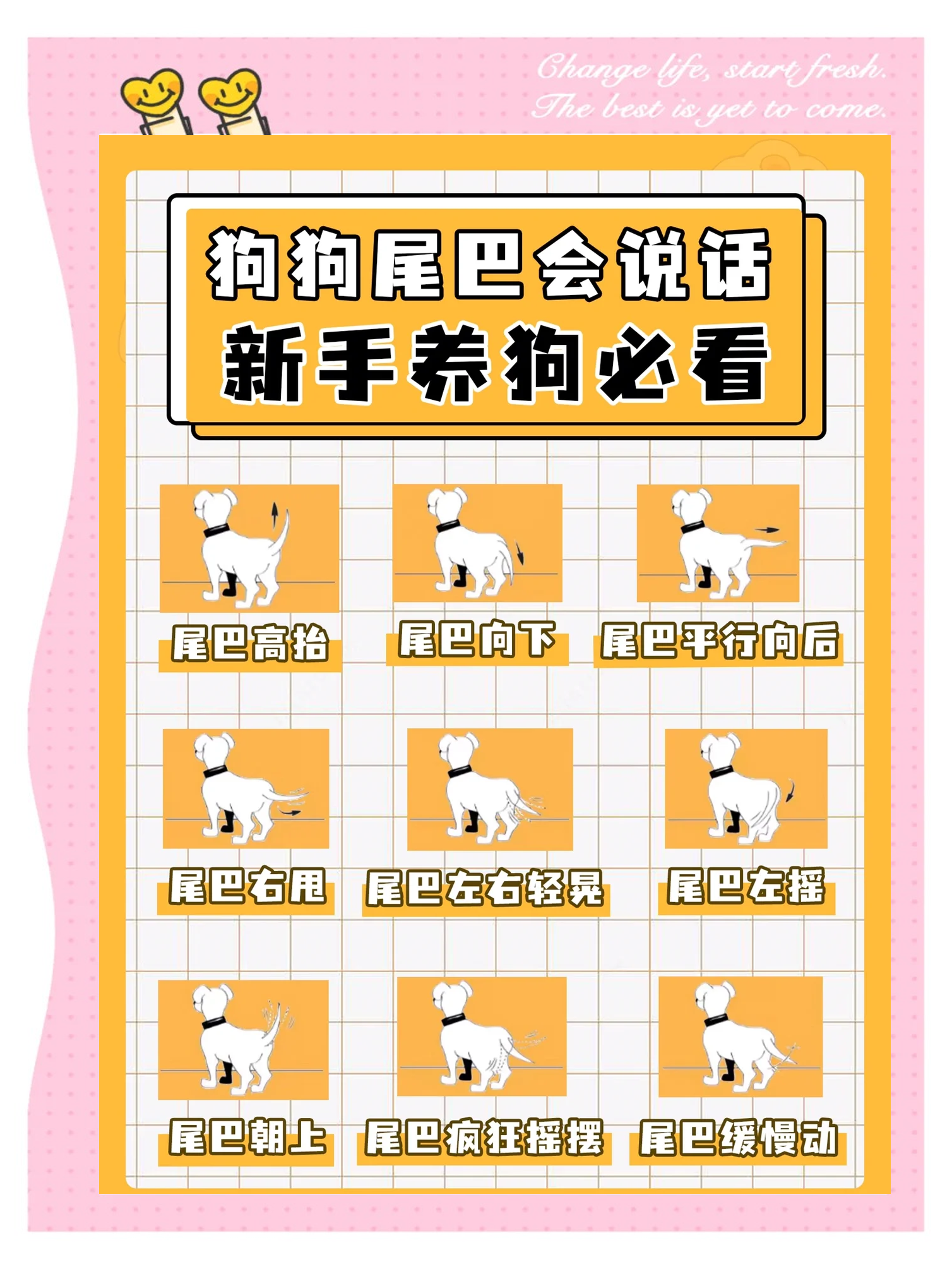 一犬吠形群犬吠声的意思