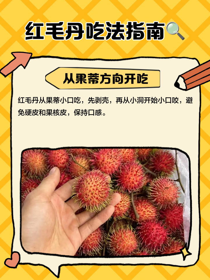 红毛丹属于寒性还是热性的水果呢