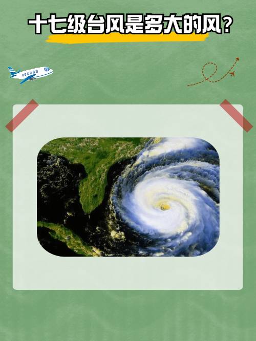 七级风有多大七级风的威力