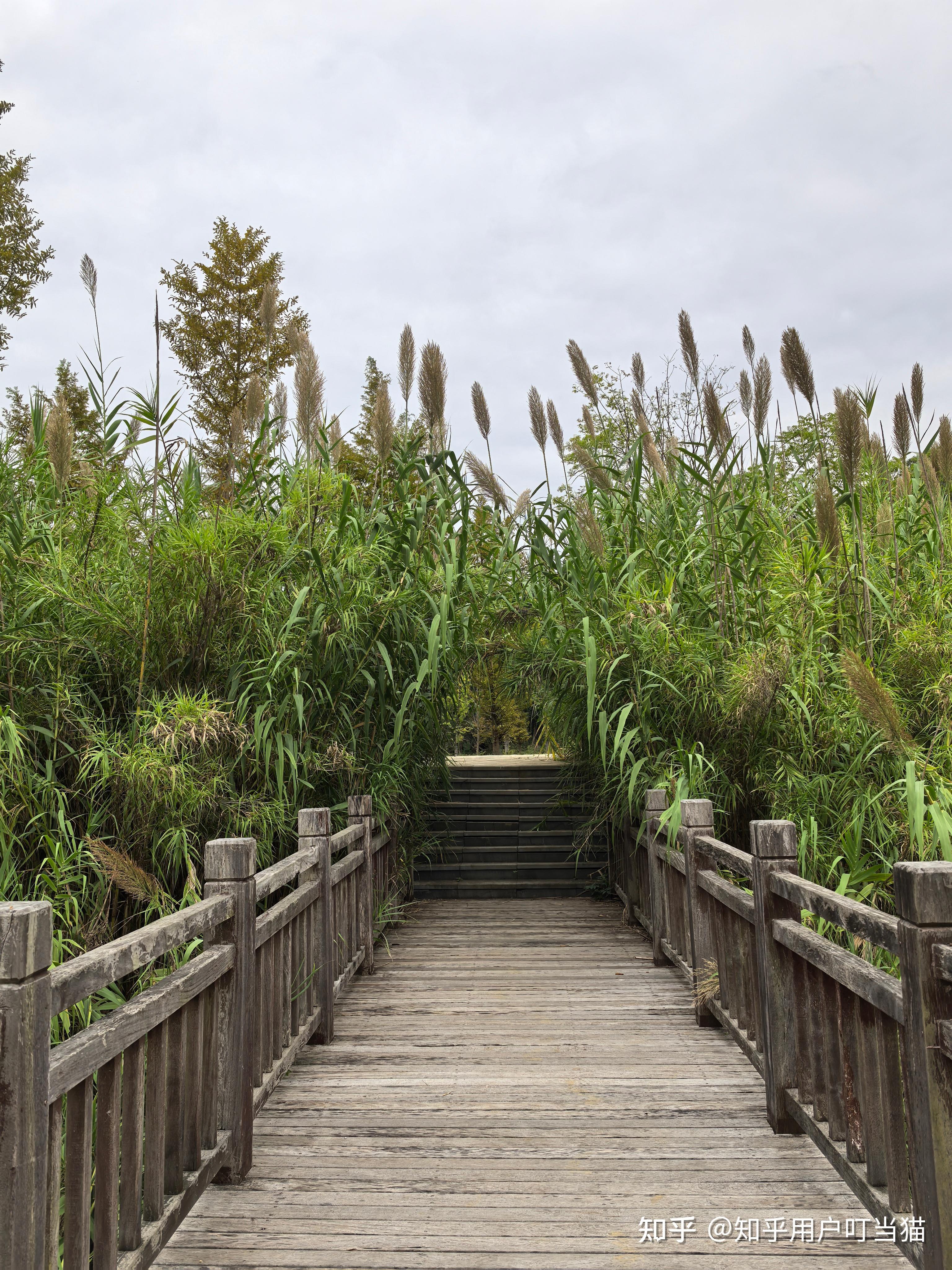 众里寻他千百度的含义