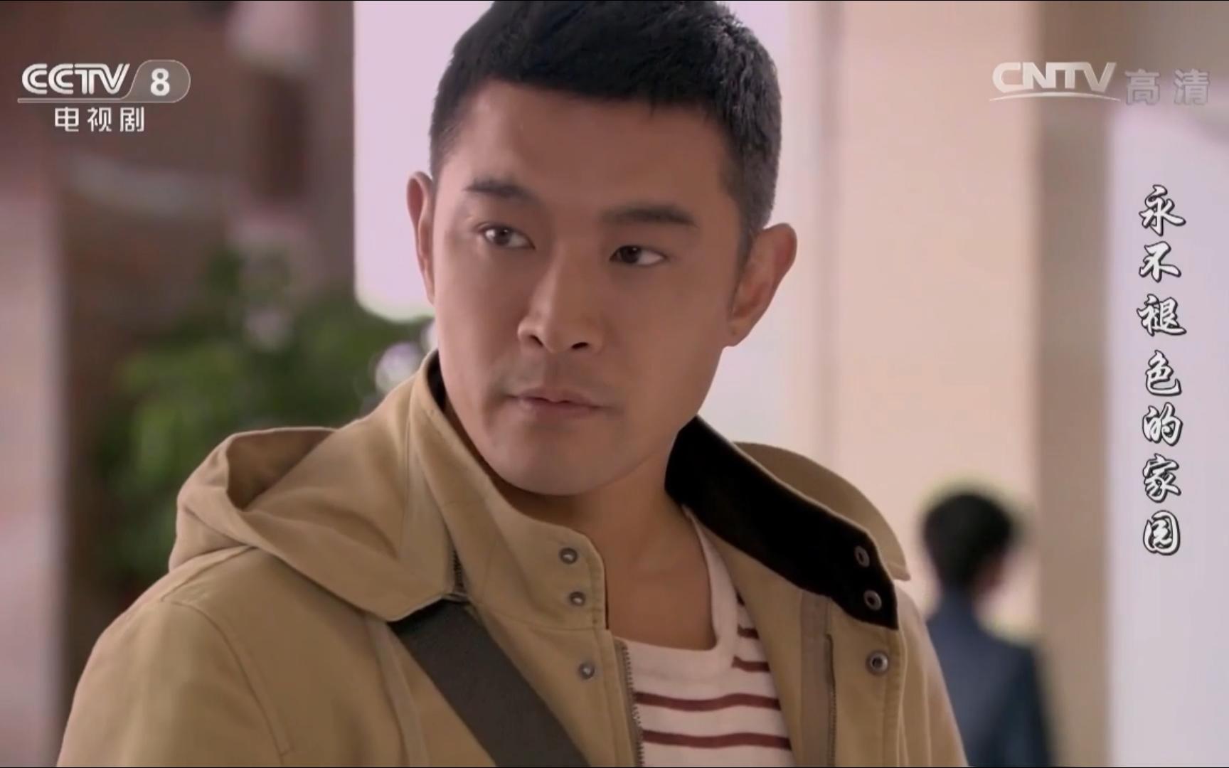 黄维德主演的电视剧介绍