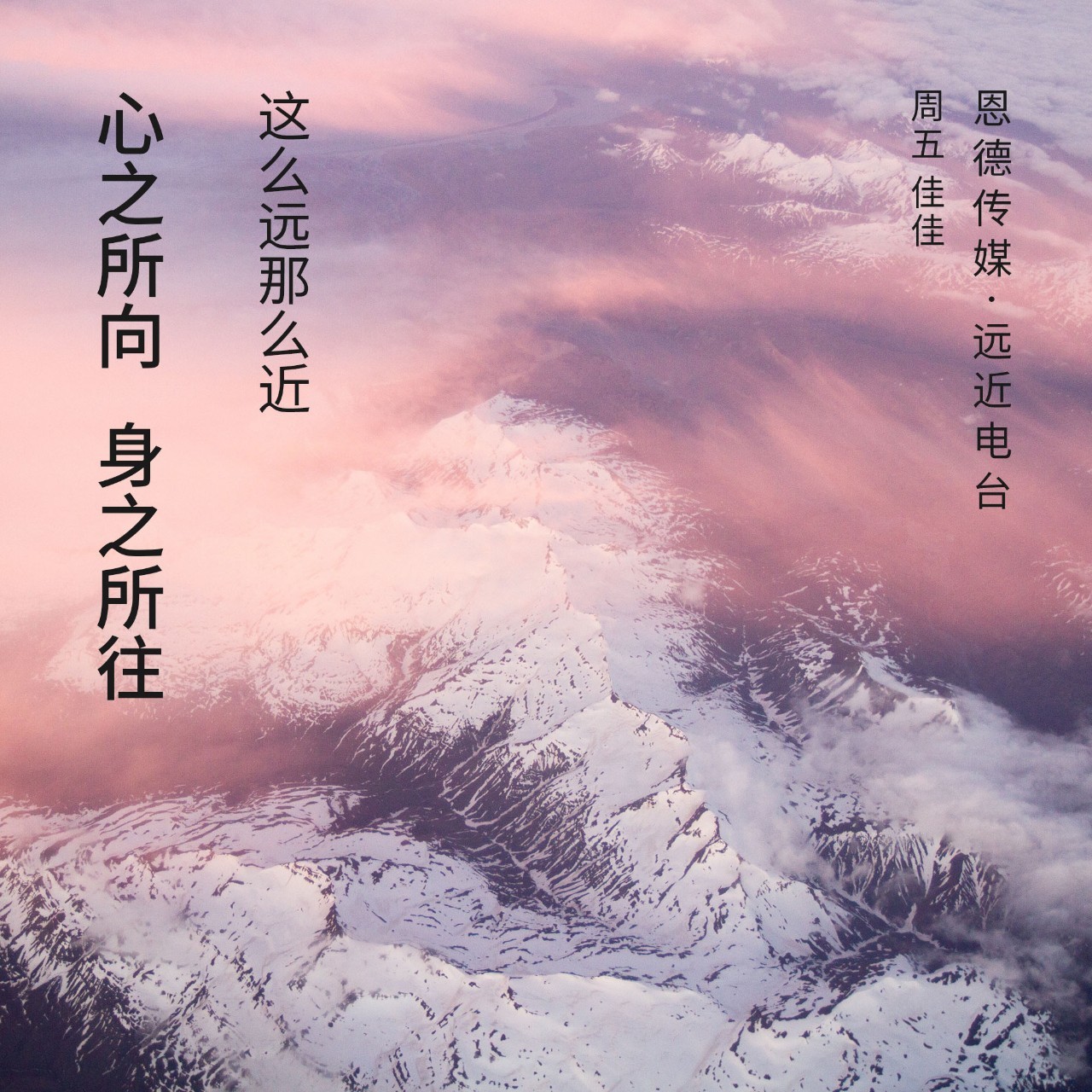 心之所向身之所往趋之若鹜的解释