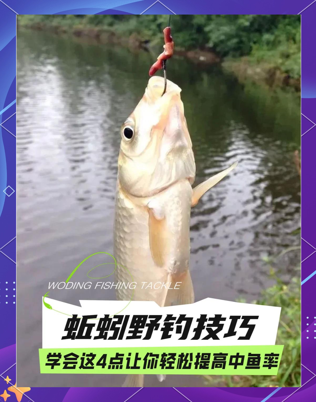 蚯蚓钓鱼为什么调平水钓二目