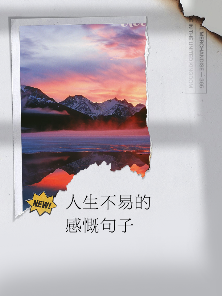 感慨生活不易的句子正能量