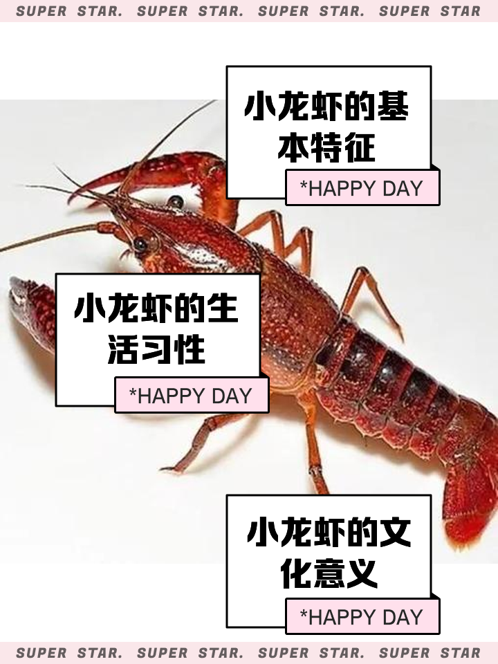 小龙虾最简单的做法介绍