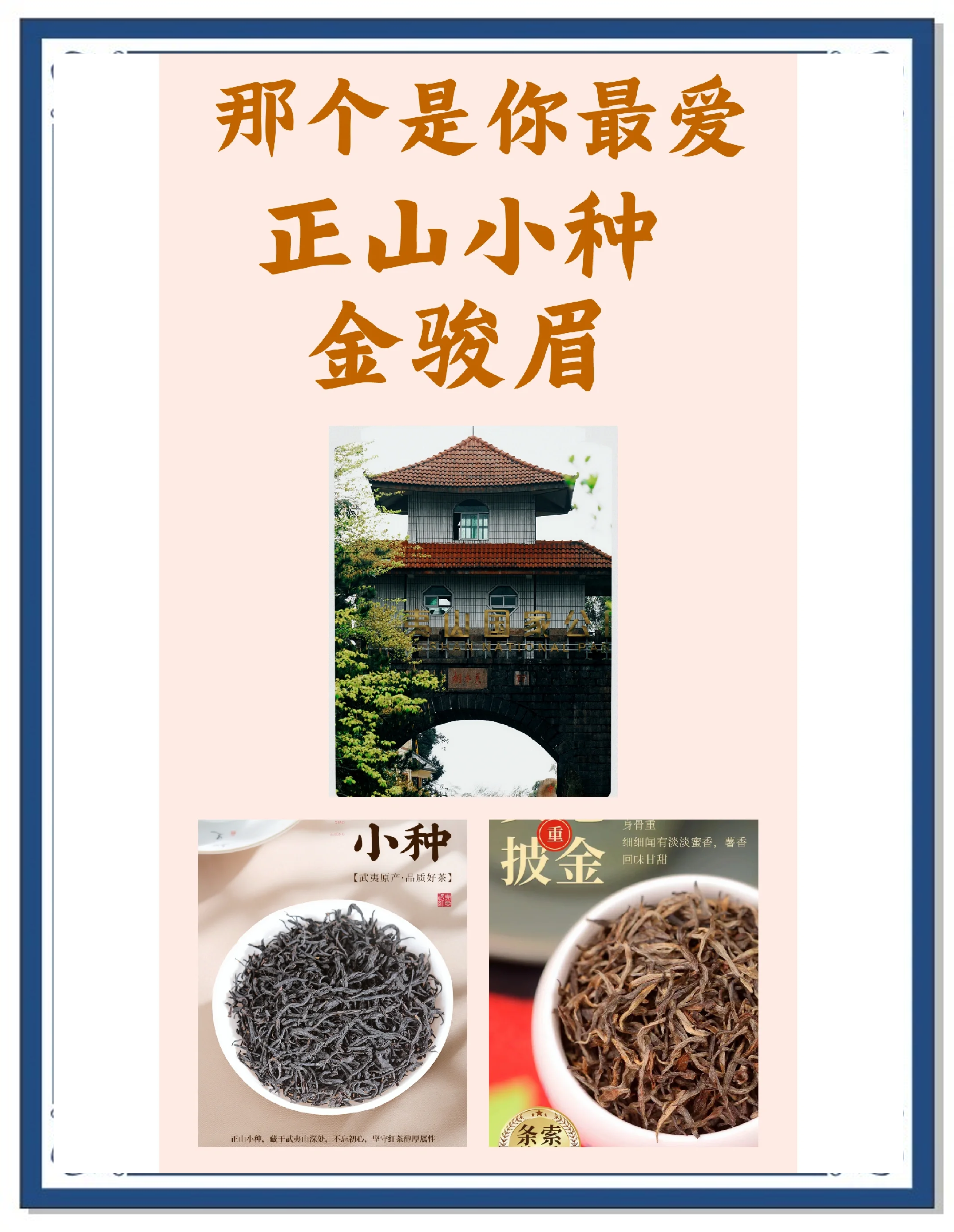 正山小种的功效与作用是什么