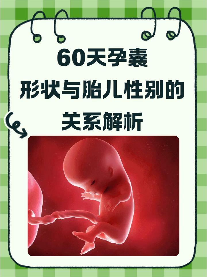 如何通过孕囊大小看男孩女孩