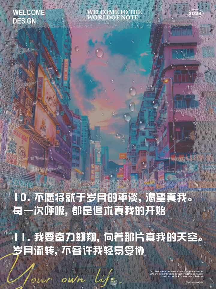 这个年纪我已不在将就是什么歌