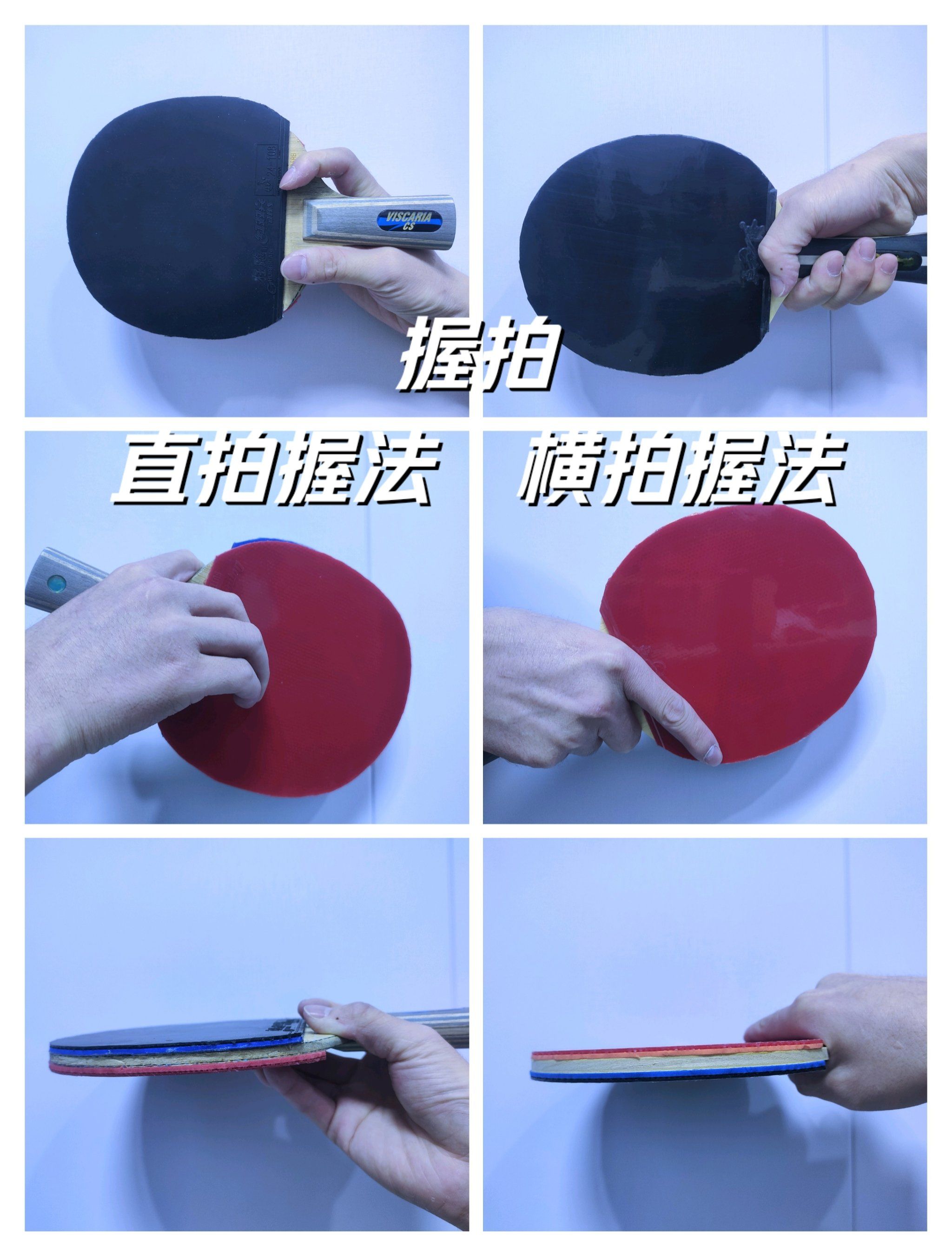 初学乒乓球的步骤初学必看