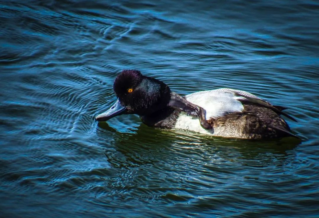 澎湃相关的词语是什么