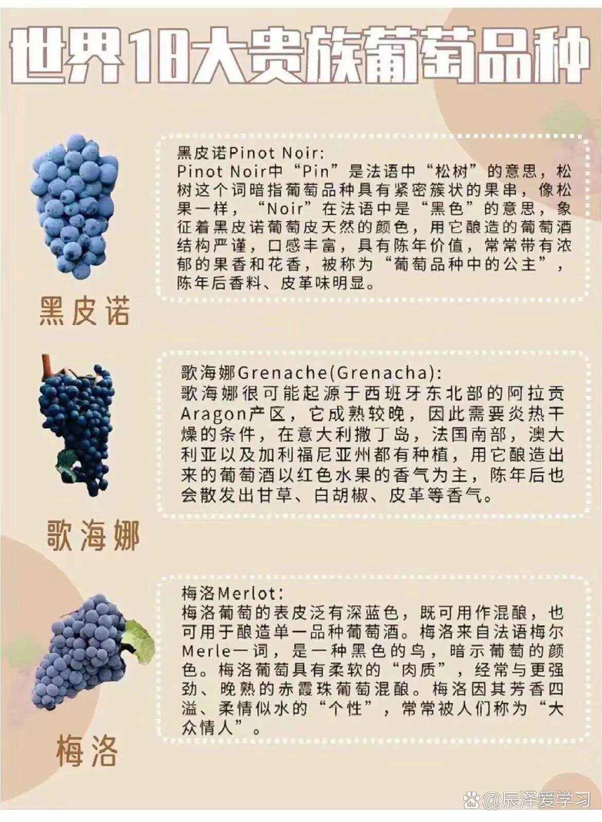 葡萄的种类一共有多少种