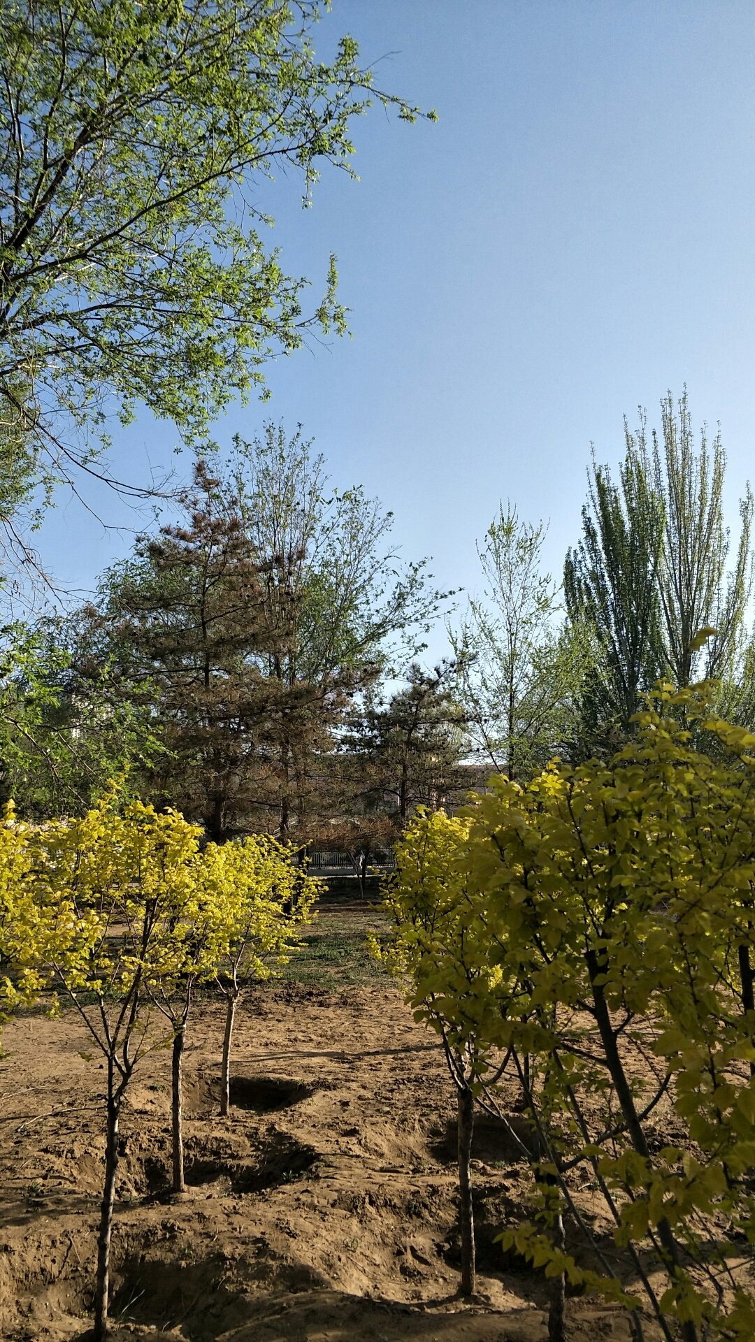 内蒙古包头青山区邮编