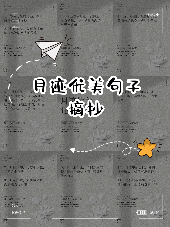 优美句子摘抄大全20字