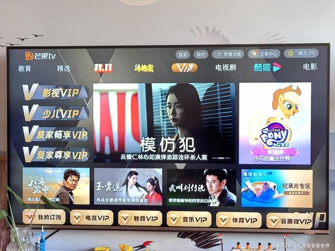 都有什么网站可以看vip电视