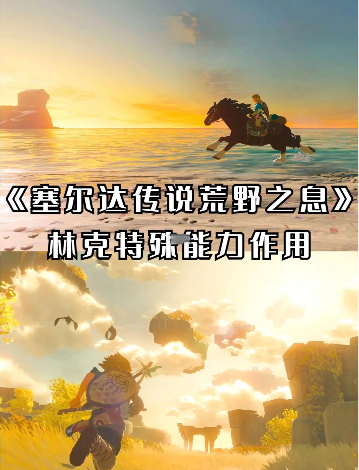 塞尔达传说：荒野之息简介