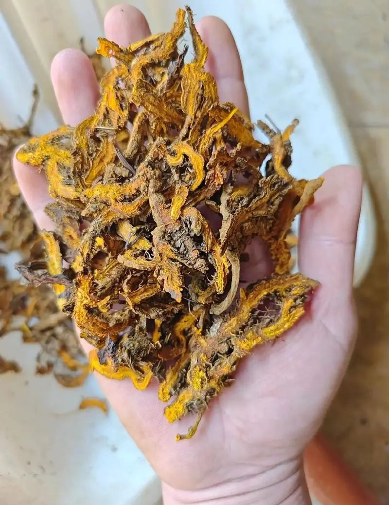 黄连阿胶汤怎么做黄连阿胶汤的功效与作用