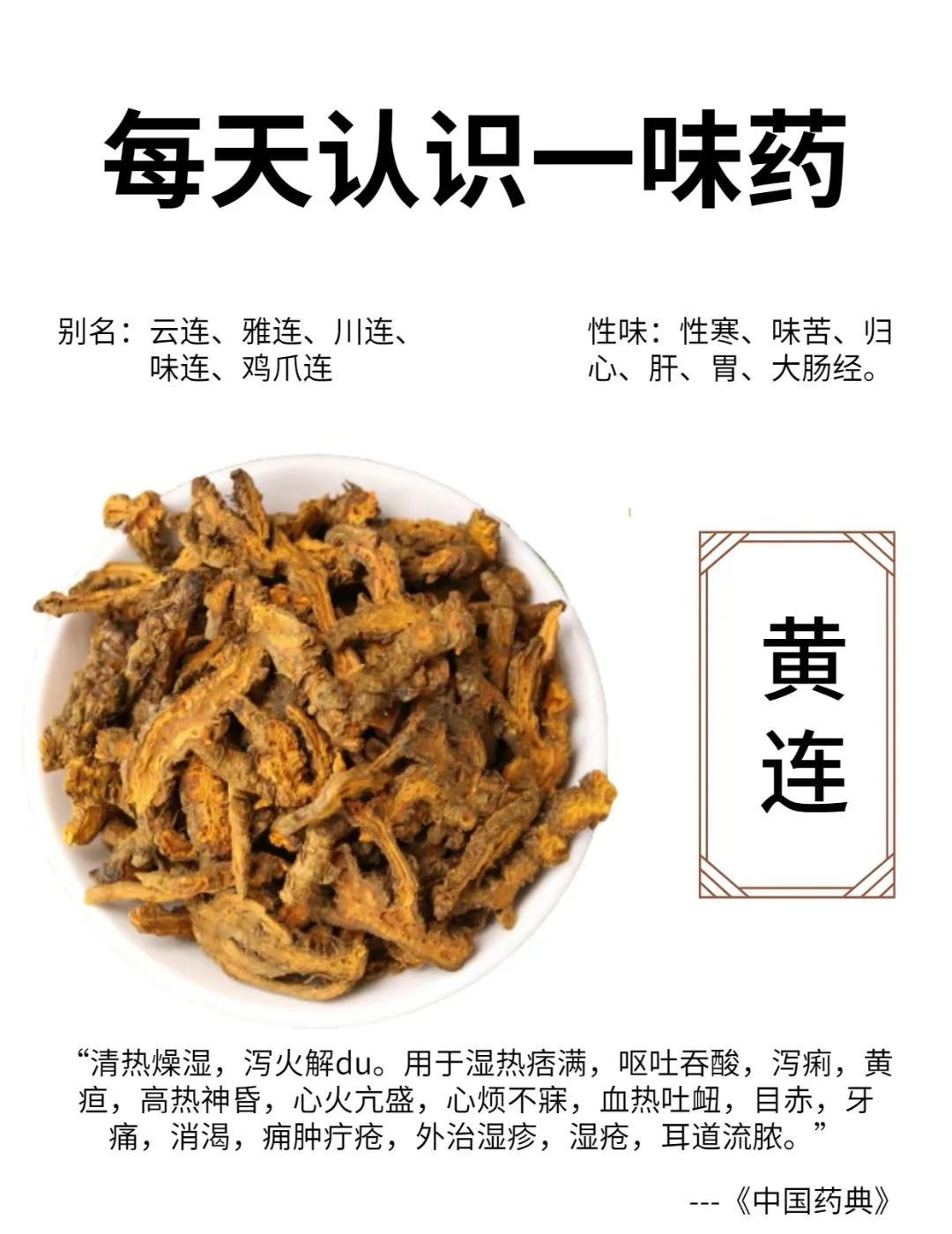 黄连阿胶汤怎么做黄连阿胶汤的功效与作用