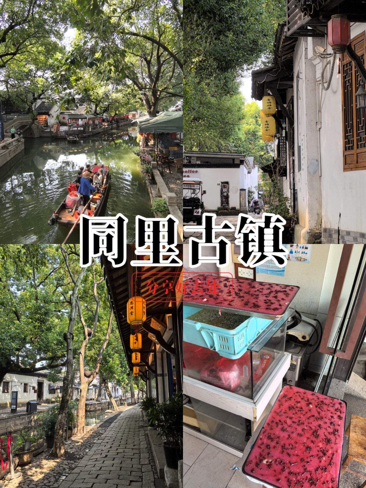 同里古镇怎么免费进去