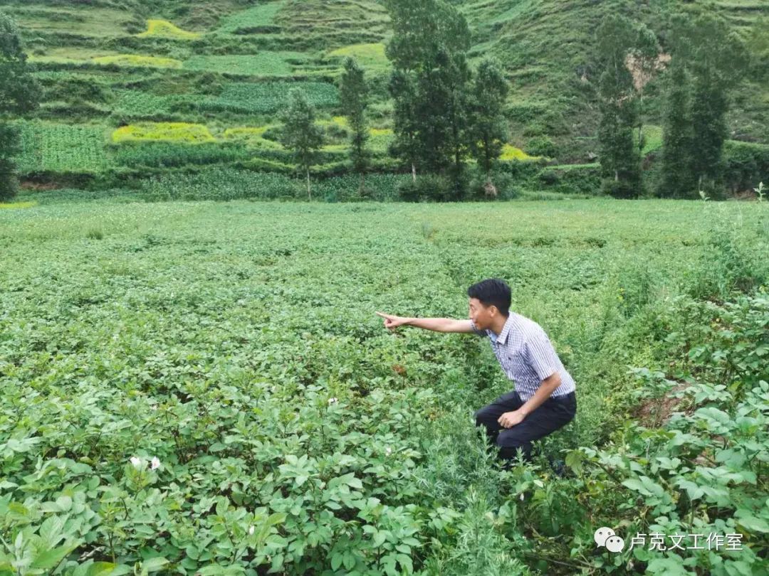 有关扶贫工作调研报告范文